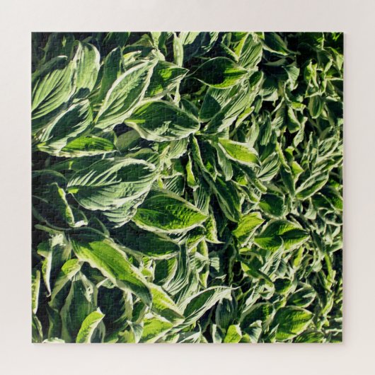 Garden Green White Hosta Pflanze Abstrakt Artistic Puzzle (Horizontal)