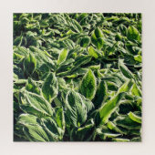 Garden Green White Hosta Pflanze Abstrakt Artistic Puzzle (Vertikal)