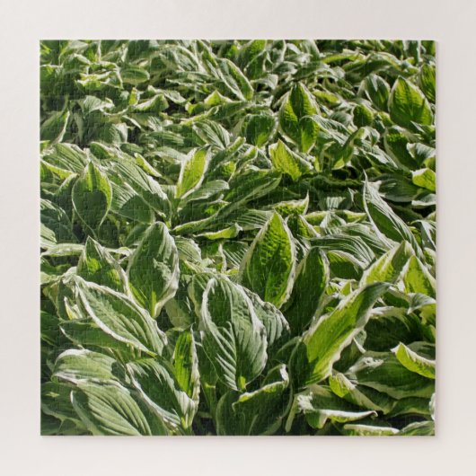 Garden Green White Hosta Pflanze Botanische Prinze Puzzle (Vertikal)