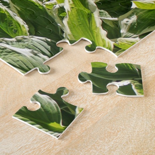 Garden Green White Hosta Pflanze Sommer Frühjahr 2 Puzzle (Seite)