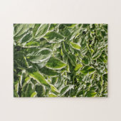 Garden Green White Hosta Pflanze Sommerfrühling Co Puzzle (Horizontal)
