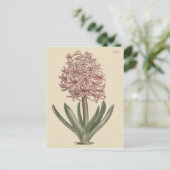 Garden Hyacinth Botanische Illustration Postkarte (Stehend Vorderseite)