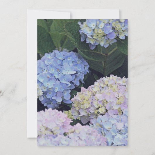 Garden Hydrangeas String of Lights Wedding Einladu Einladung (Rückseite)