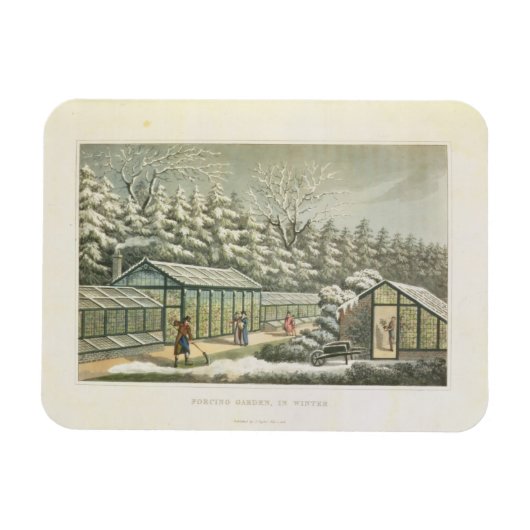 Garden im Winter erzwingen, aus Fragmenten auf dem Magnet (Horizontal)