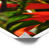 Garden Jewel: Hummingbird in Bloom Poster (Ecke)