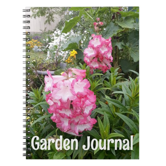 Garden Journal Pink Penstemon Frühlingsblumen Notizblock (Vorderseite)