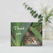 Garden Kitty Postkarte (Stehend Vorderseite)