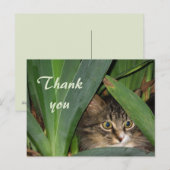 Garden Kitty Postkarte (Vorne/Hinten)