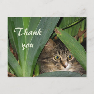 Garden Kitty Postkarte