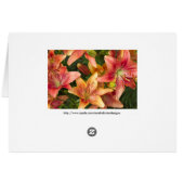 Garden Lilies Card (Rückseite Horizontal)