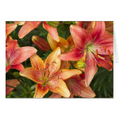 Garden Lilies Card (Vorderseite (Horizontal))