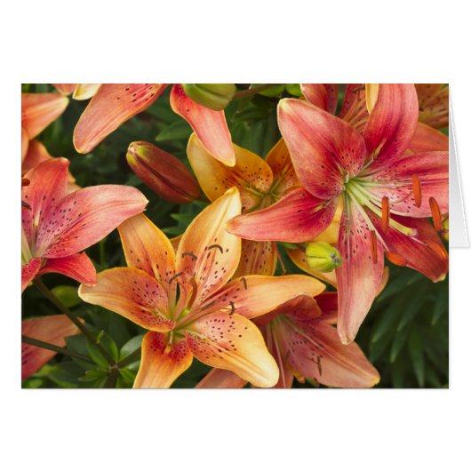 Garden Lilies Card (Vorderseite (Horizontal))