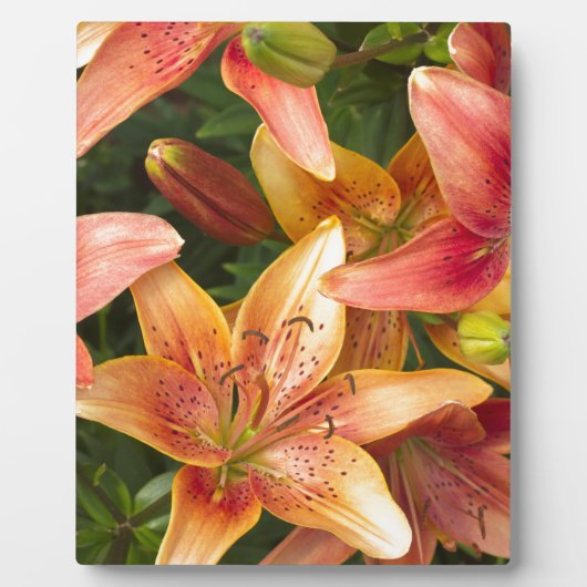 Garden Lilies Fotoplatte (Vorderseite)