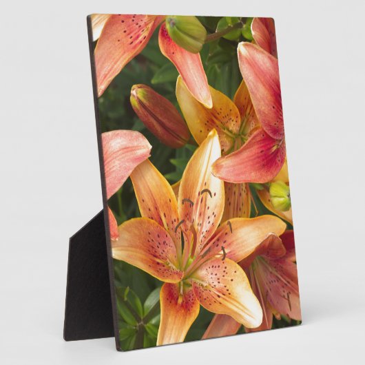 Garden Lilies Fotoplatte (Seite)