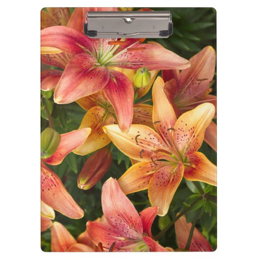 Garden Lilies Klemmbrett (Vorderseite)