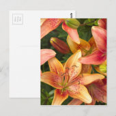 Garden Lilies Postkarte (Vorne/Hinten)