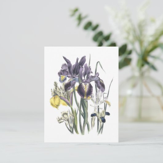 Garden Luncheon Einladung (Stehend Vorderseite)