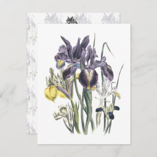 Garden Luncheon Einladung (Vorne/Hinten)