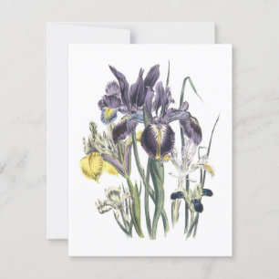 Garden Luncheon Einladung