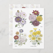 Garden Luncheon Einladung (Vorne/Hinten)