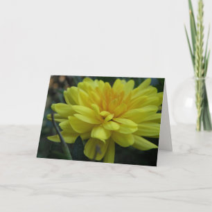 Garden Mum "Get well soon!" Card Karte