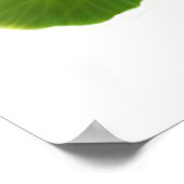 Garden Nasturtium Blume drucken Poster (Ecke)