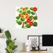 Garden Nasturtium Blume drucken Poster (Heimbüro)