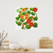 Garden Nasturtium Blume drucken Poster (Küche)