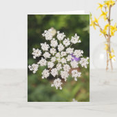 Garden O Weedin Talking Canyons, New Mexico Karte (Gelbe Blume)