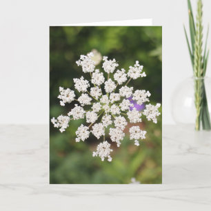 Garden O Weedin Talking Canyons, New Mexico Karte