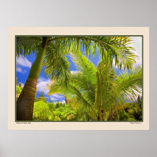 Garden of Eden - Palms - Maui Hawaii Poster (Vorne)