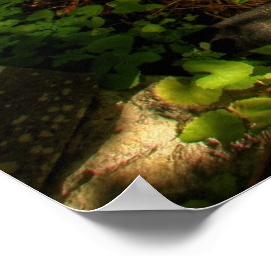 Garden of Memory 009 Poster (Ecke)