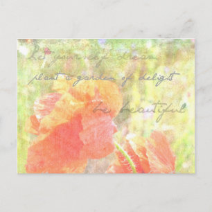 Garden of The Delight Poppies Postcard Postkarte