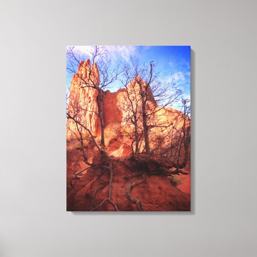 Garden of the Gods Colorado Park Photo Leinwanddruck (Vorderseite)