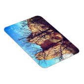 Garden of the Gods Colorado Park Photo Magnet (Rechte Seite)