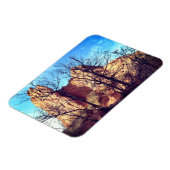 Garden of the Gods Colorado Park Photo Magnet (Linke Seite)