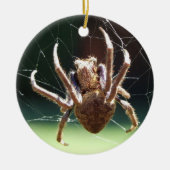 Garden Orb Weaver Spider Keramik Ornament (Vorne)