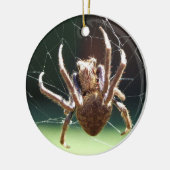 Garden Orb Weaver Spider Keramik Ornament (Links)
