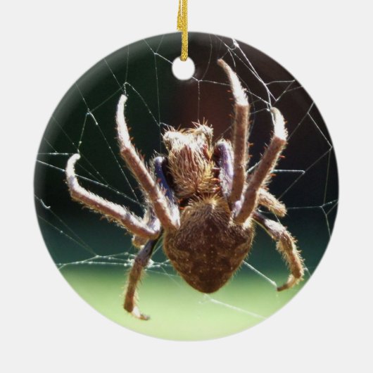 Garden Orb Weaver Spider Keramik Ornament (Hinten)