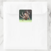 Garden Orb Weaver Spider Sticker (Tasche)
