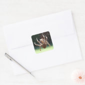 Garden Orb Weaver Spider Sticker (Umschlag)