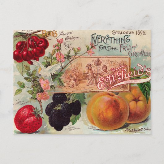 Garden Orchard Blume Vintage Art Postcard Postkarte (Vorderseite)