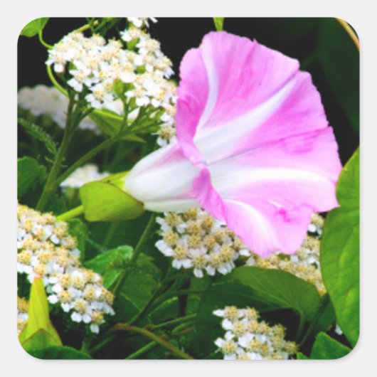 Garden Party Blumenkleber Quadratischer Aufkleber (Vorderseite)
