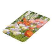 Garden Pastels Magnet (Linke Seite)