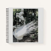 Garden Peacock Spiral Notebook Notizblock (Vorderseite)