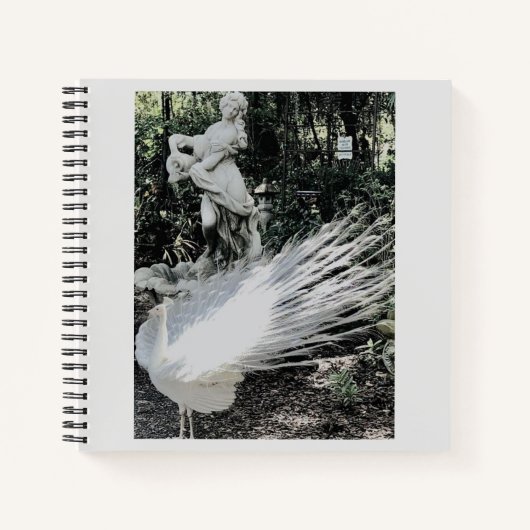 Garden Peacock Spiral Notebook Notizblock (Vorderseite)