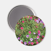 Garden Petunia Magnet (Vorderseite/Rückseite)