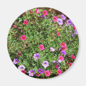 Garden Petunia Magnet (Vorne)