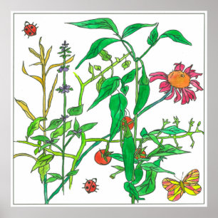 Garden Pflanze Konflower Ladybug Butterfly Poster
