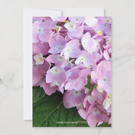 ©Garden Pink Hydrangeas Wedding Einladung (Rückseite)